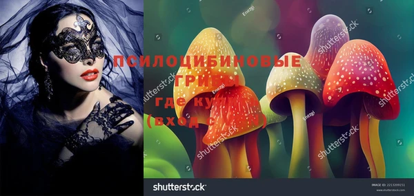 ГАЛЛЮЦИНОГЕННЫЕ ГРИБЫ Надым
